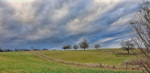 Trees on field against sky