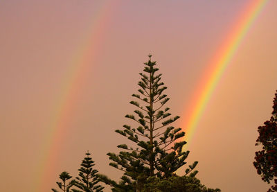 Low angle view of rainbow against sky during sunset