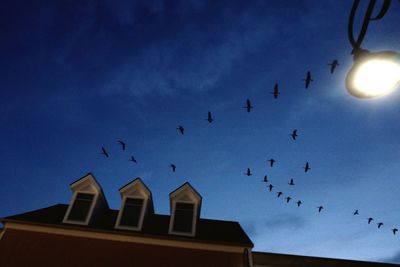 Low angle view of birds flying in sky