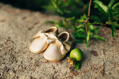 High angle view of baby booties on ground