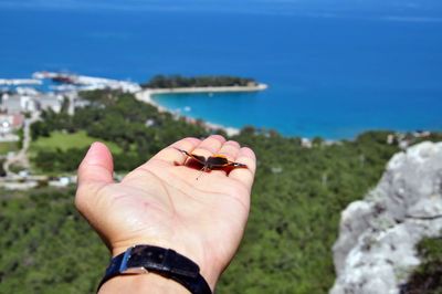 Cropped image of hand holding crab by sea