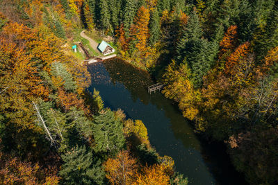 Scenic landscape with lake and picnic pavilion next to it surrounded with colorful trees in autumn