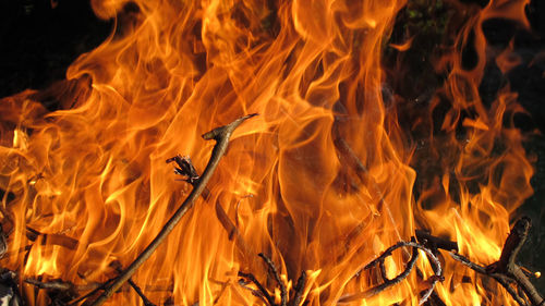 Close-up of bonfire