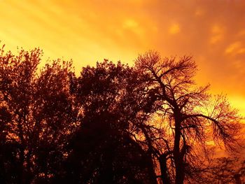 Low angle view of silhouette trees against sky during sunset