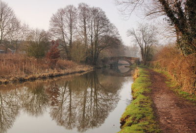 Reflection of bare trees in river