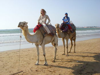 People on camels at beach