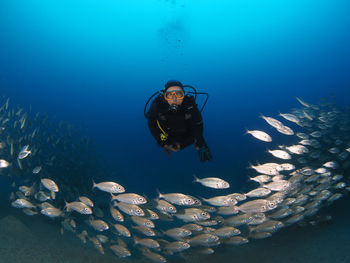 Man swimming in sea