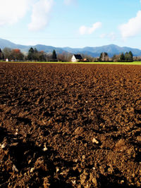 Scenic view of agricultural field against sky