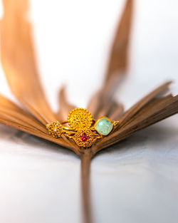 Close-up of yellow leaf on table