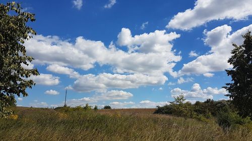 Scenic view of field against sky