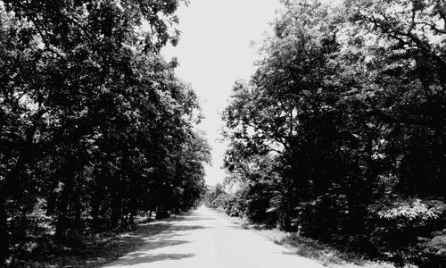 Road amidst trees against sky