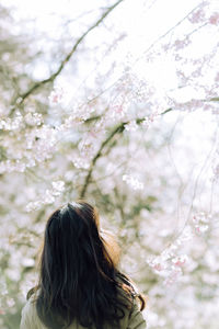 Rear view of woman standing on tree