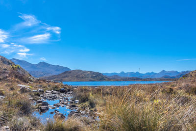 Scenic view of lake against blue sky