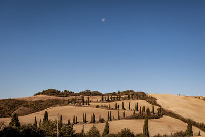 Scenic view of landscape against clear blue sky