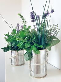 Close-up of potted plant in vase