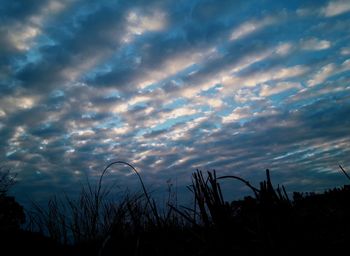 Silhouette plants against sky during sunset