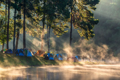 Tent on field by lake in forest