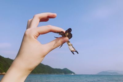 Close-up of hand holding crab against clear sky