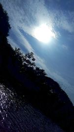 Low angle view of silhouette trees against sky