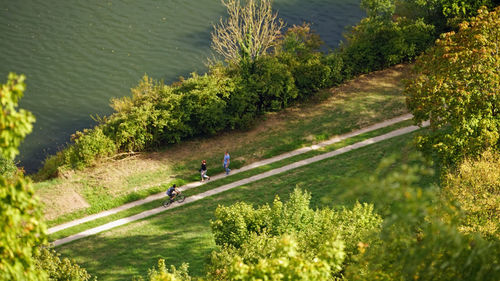 High angle view of people on road by trees