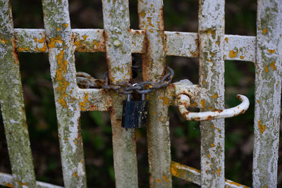 Close-up of rusty metal fence