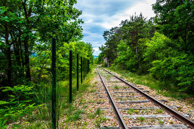 Railroad tracks along trees and plants