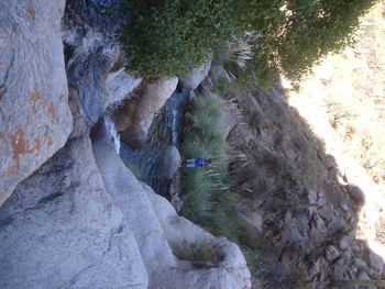 Rocks in stream