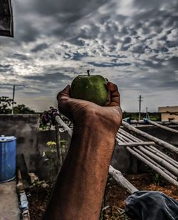 Midsection of man holding fruit against sky