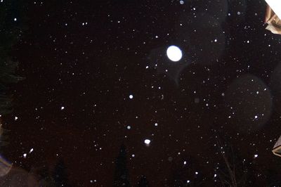 Low angle view of moon at night