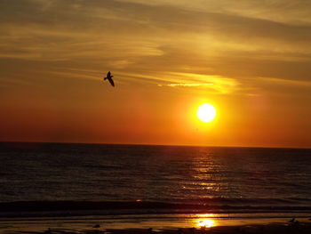 Scenic view of sea at sunset