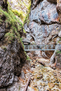 Rock formations in forest