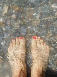 Low section of person with reflection in water