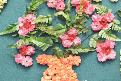 High angle view of pink flowering plants