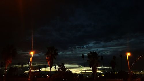 Low angle view of illuminated trees against sky at night