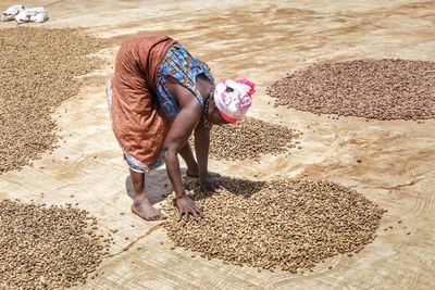 Full length of woman drying peanuts