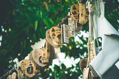 Low angle view of tree against sky