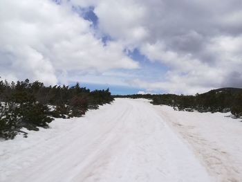 Road amidst snow covered trees against sky