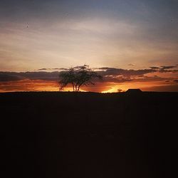 Silhouette of landscape at sunset