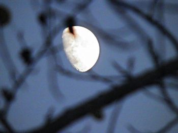 Close-up of object on wall