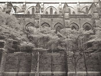 Plants against building
