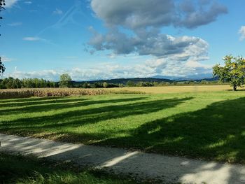 Scenic view of agricultural field against sky