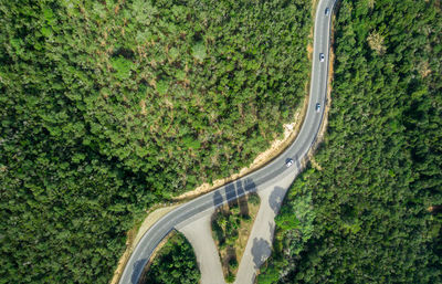 High angle view of road amidst trees in city