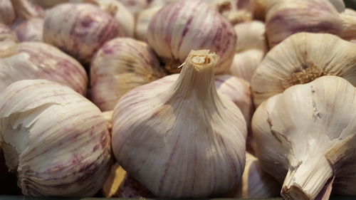Full frame shot of garlic