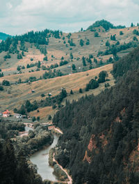 Patchy forest over mountain range near river