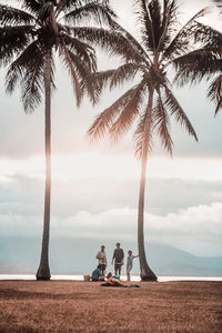 People sitting on palm tree by sea against sky