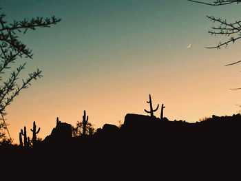 Silhouette trees against sky during sunset
