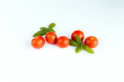 Close-up of tomatoes against white background