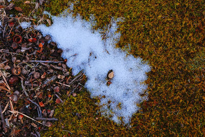 Close-up high angle view of snow