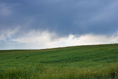 Scenic view of field against sky