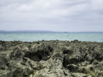 Close-up of sea shore against sky